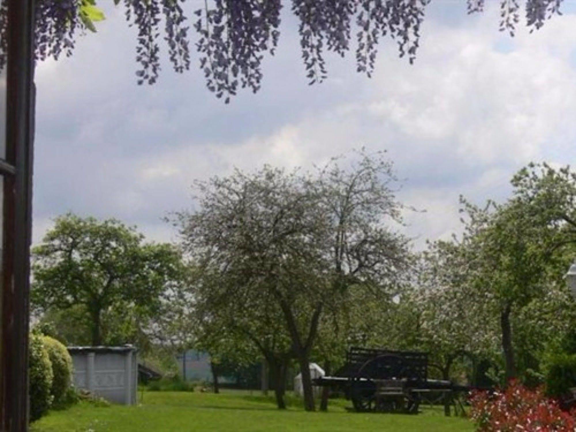 Le Jardin B&B Isigny-le-Buat Exterior foto